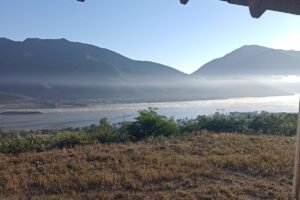 WhatsApp Image 2026-01-17 at 7.28.57 PM (3)