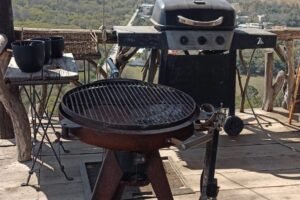 WhatsApp Image 2026-01-17 at 7.28.57 PM