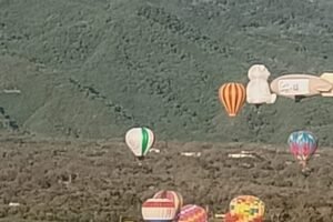 WhatsApp Image 2026-01-17 at 7.28.57 PM (4)