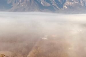 WhatsApp Image 2026-01-17 at 7.28.57 PM (7)